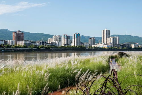 广元,四川省存在感不高的五线城市,旅游资源丰富,但游客并不多